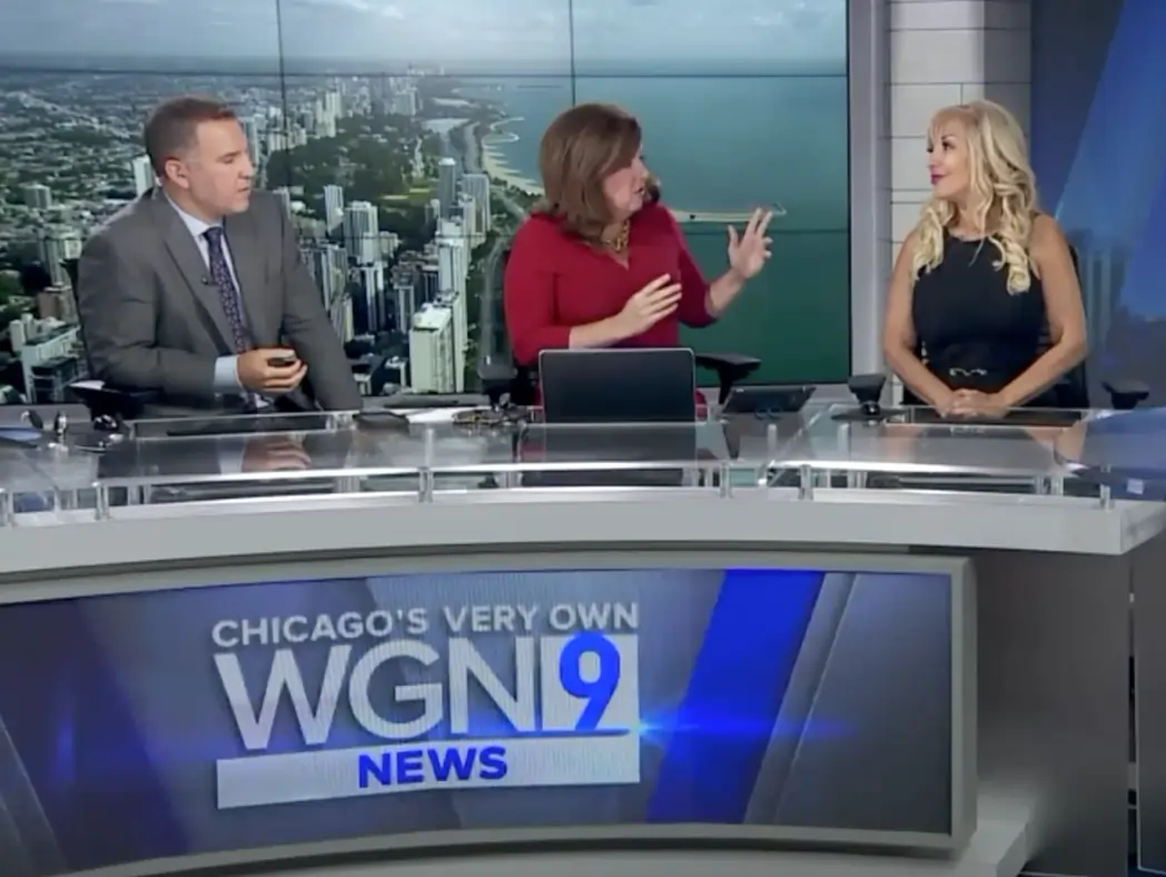 WGN News — Matchmakers Elite