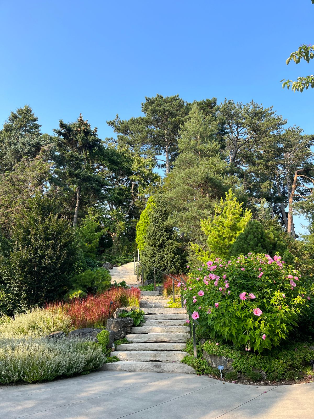 A winding stone pathway through a botanical garden lush with autumn foliage