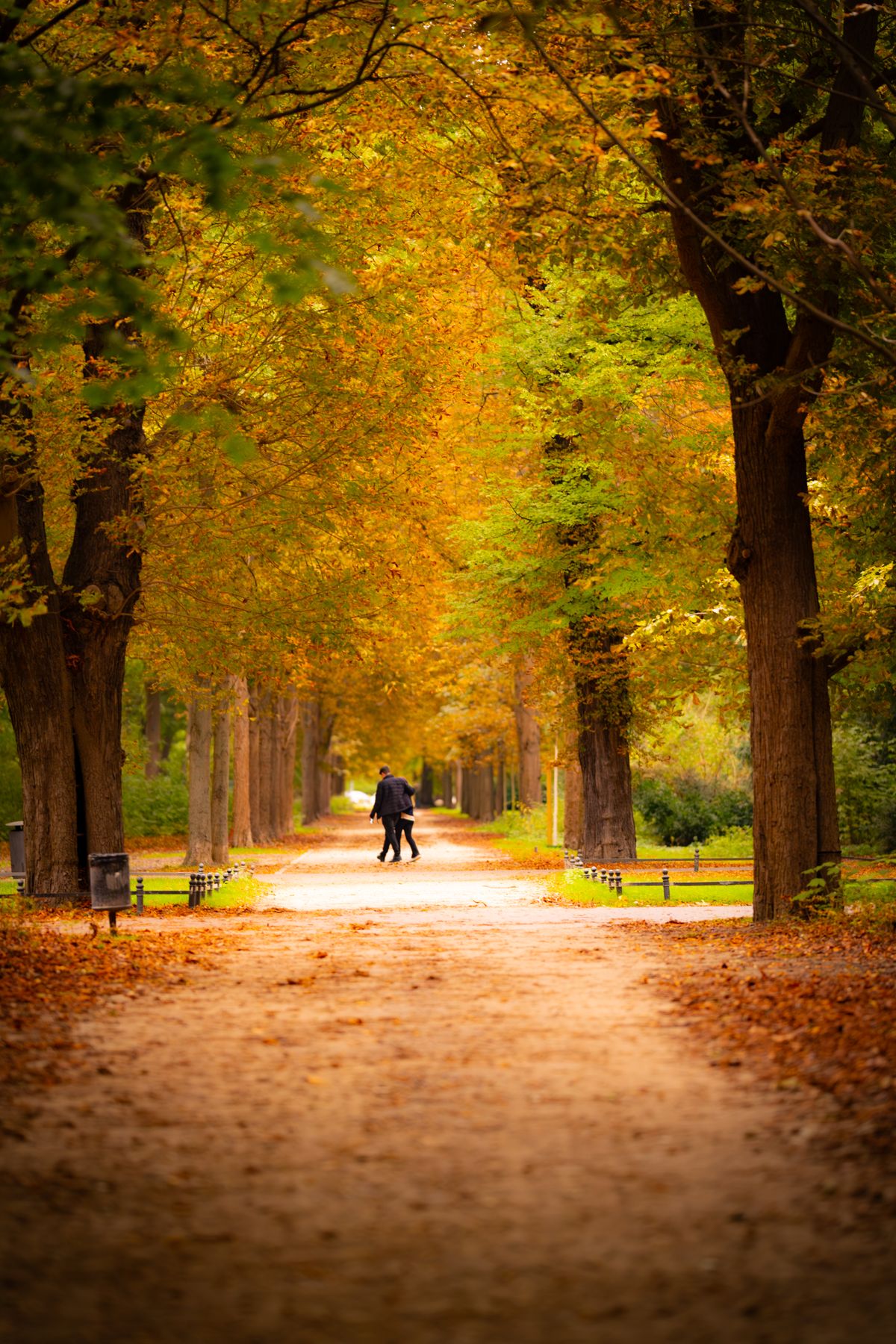 A couple walks together down a tree-lined path under golden autumn foliage